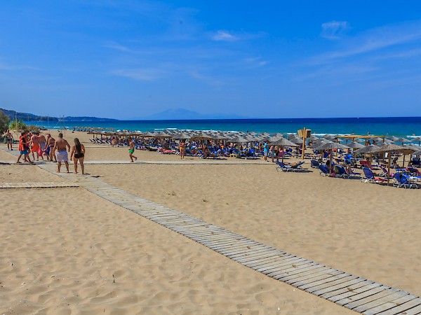 Vassilikos