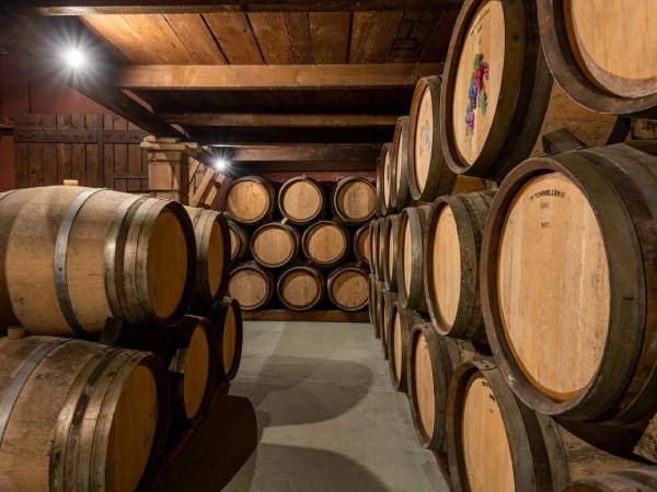 Bochali, Olive Factory, Anafonitria, Exo Hora, Kampi & Winery